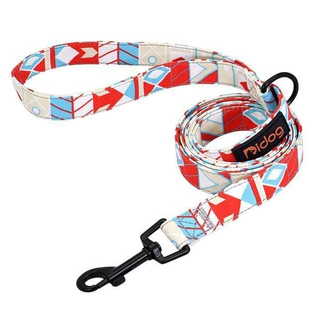 Geometric print dog leash