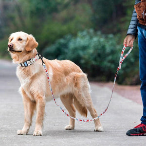 Geometric print dog leash labrador