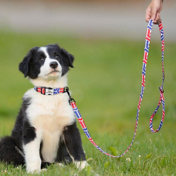 Load image into Gallery viewer, Personalised dog collar with engraving of name and phone number
