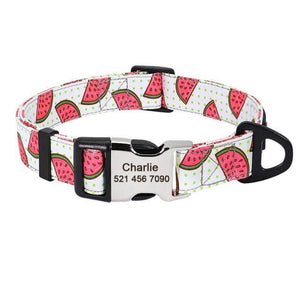 Personalised dog collar with engraving of name and phone number