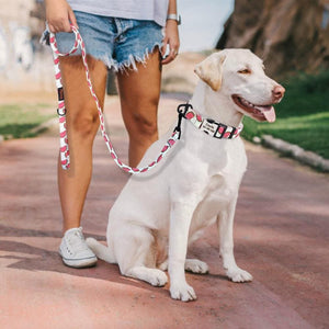 Personalised dog collar with engraving of name and phone number