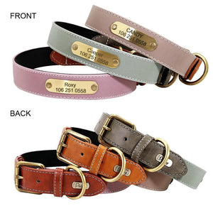 personalised dog collar with engraving