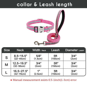 personalised dog collar with engraving and matching leash set