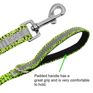 personalised dog collar with engraving and matching leash set