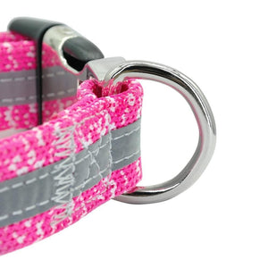 personalised dog collar with engraving and matching leash set