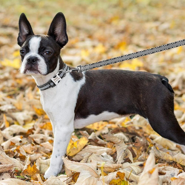 Load image into Gallery viewer, personalised dog collar with engraving and matching leash set
