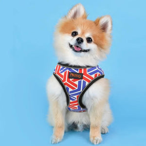 Dog harness with blue and red reflective and adjustable