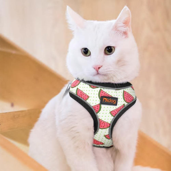 Load image into Gallery viewer, Fruit print pet harness adjustable and reflective
