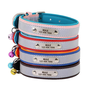 personalised dog collar with engraving