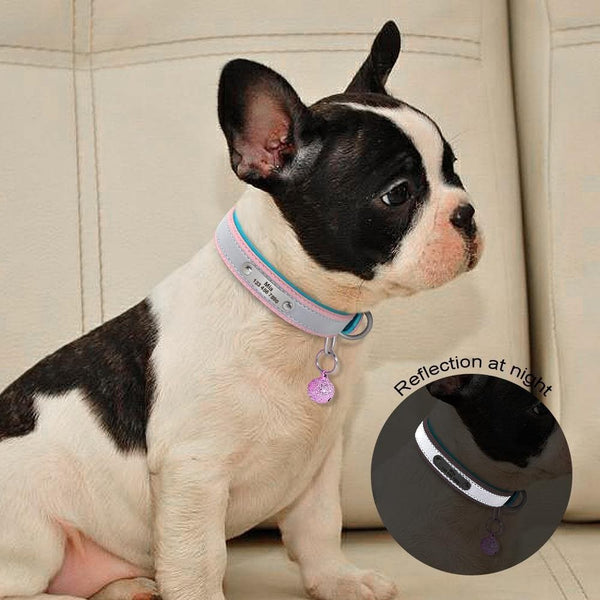 Load image into Gallery viewer, personalised dog collar with engraving
