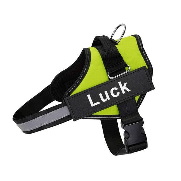 Load image into Gallery viewer, ID Pup Lime - Personalised Harness
