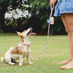 floral pet harness cat and dog