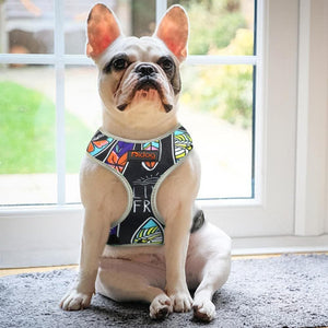 Malibu style dog harness with reflective detail frenchie