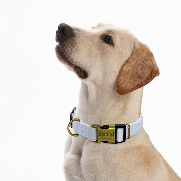 Load image into Gallery viewer, personalised pet collar with engraving pastel colour
