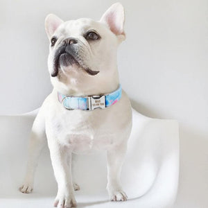 frenchie with personalised collar