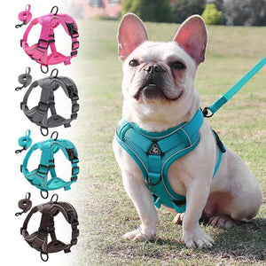 sturdy no pull dog harness