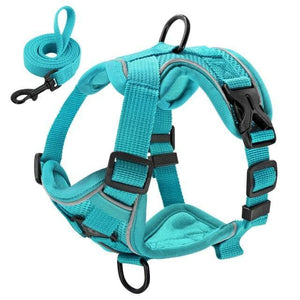 sturdy no pull dog harness aqua