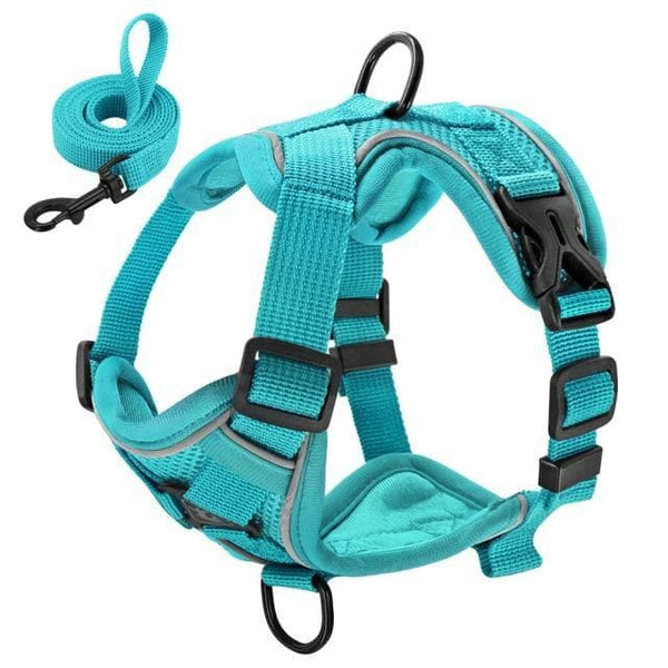 Load image into Gallery viewer, sturdy no pull dog harness aqua
