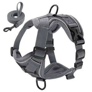 sturdy no pull dog harness grey