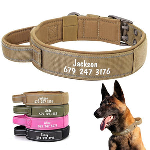 personalised dog collar with engraving of name and phone number