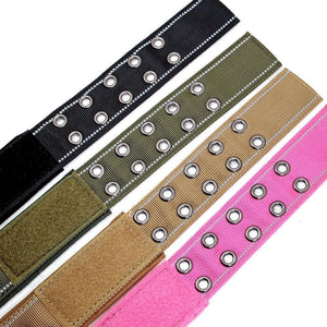 personalised dog collar with engraving of name and phone number