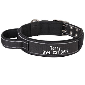 personalised dog collar with engraving of name and phone number