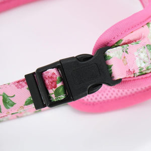 floral dog harness and leash set
