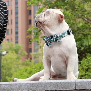 Holiday Maker - Bow Tie Collar