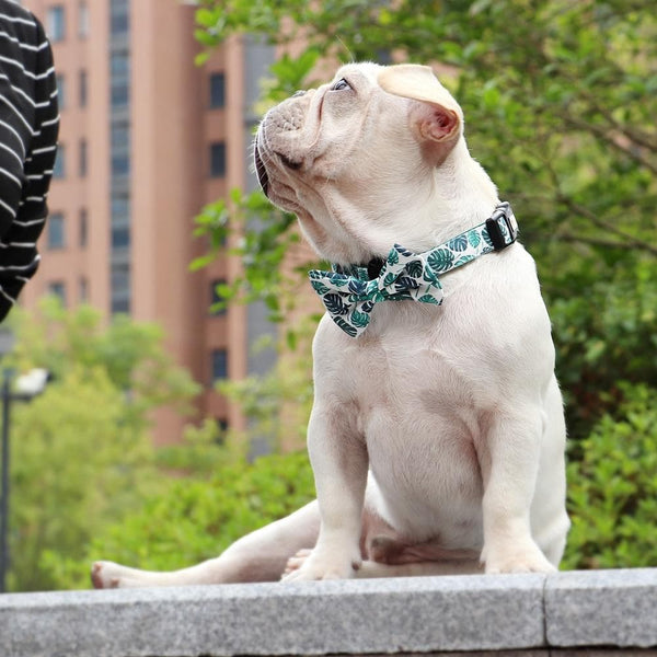 Load image into Gallery viewer, Holiday Maker - Bow Tie Collar
