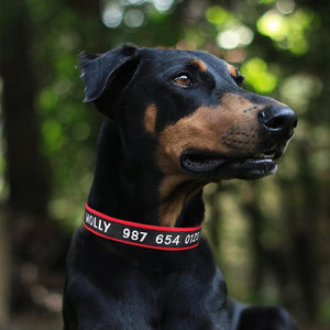 Black ID - Personalised Collar