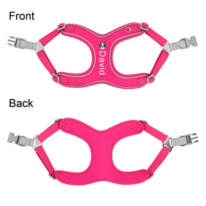 Neoprene Print - 2 Piece Set - Leash & Personalised Harness