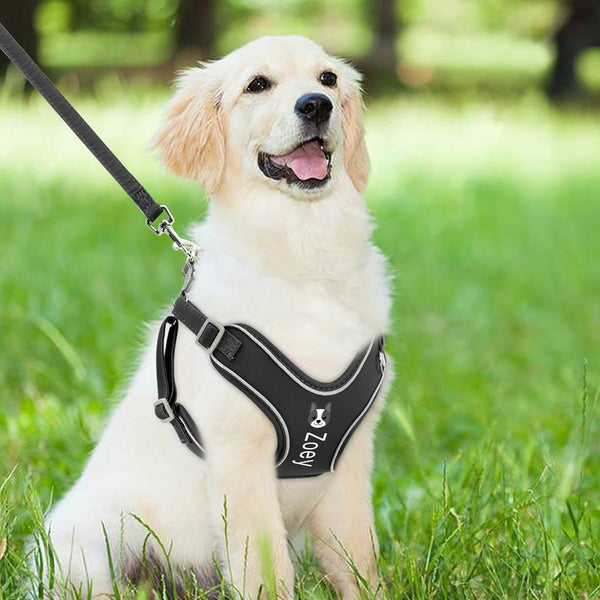 Load image into Gallery viewer, Neoprene Print - 2 Piece Set - Leash &amp; Personalised Harness
