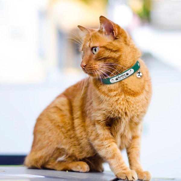 Load image into Gallery viewer, Kitty Paws - Personalised Cat Collar
