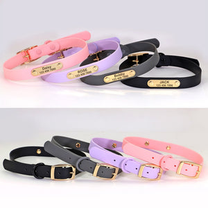 Jelly Paws Lavender - Personalised Collar