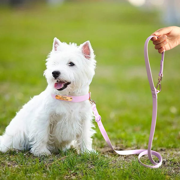 Load image into Gallery viewer, Jelly Paws Coral - Personalised Collar
