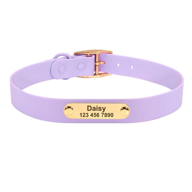 Jelly Paws Lavender - Personalised Collar