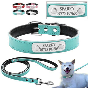 Smug Pug - 2 Piece Set - Personalised Collar & Leash