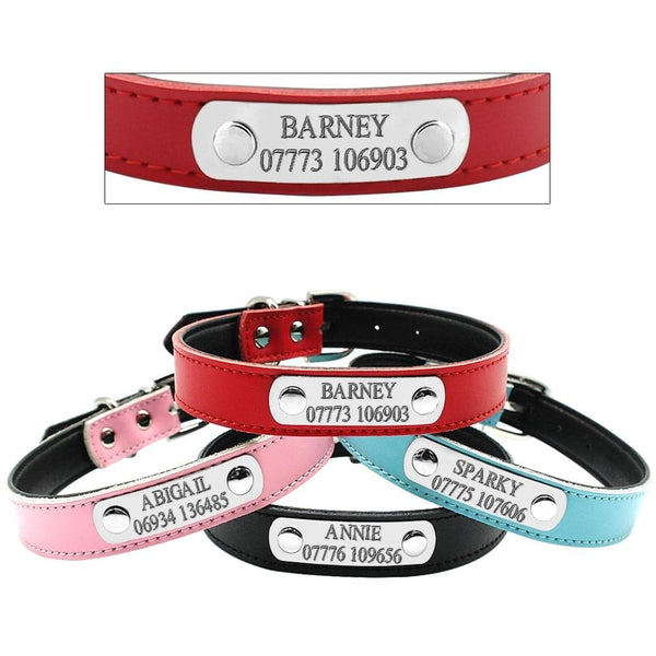 Load image into Gallery viewer, Smug Pug - 2 Piece Set - Personalised Collar &amp; Leash
