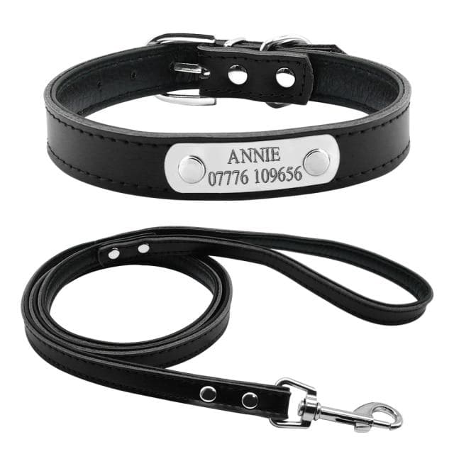 Smug Pug - 2 Piece Set - Personalised Collar & Leash