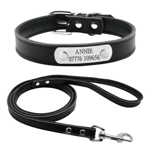 Load image into Gallery viewer, Smug Pug - 2 Piece Set - Personalised Collar &amp; Leash
