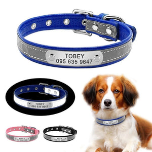 personalised dog collar with engraving