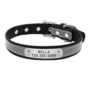 personalised dog collar with engraving