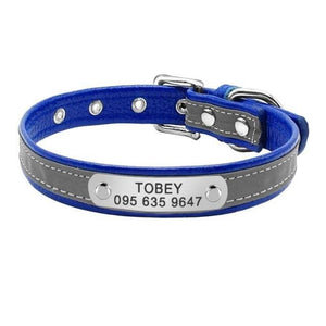 personalised dog collar with engraving