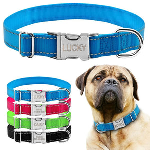 Style Mesh - Personalised Collar