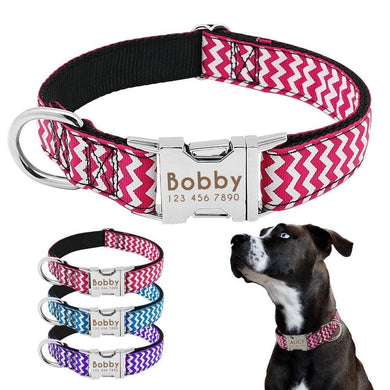 Personalised dog collar with engraving of name and phone number