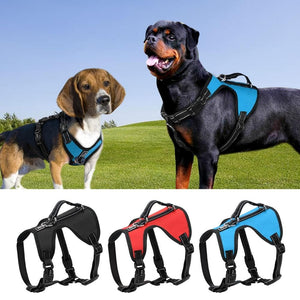 Dual Fit Reversible Harness