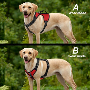 Dual Fit Reversible Harness