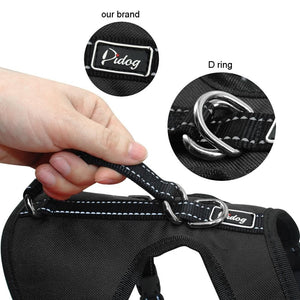 Dual Fit Reversible Harness