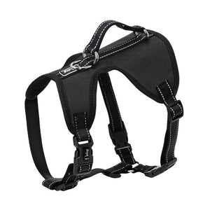 Dual Fit Reversible Harness