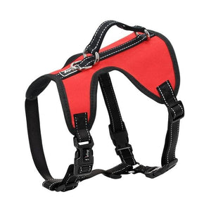 Dual Fit Reversible Harness